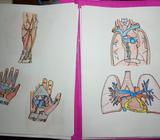 Se Realizan Dibujos Estudiantiles