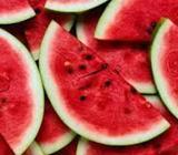 VENTA DE SANDIA