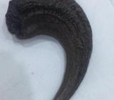 Jurassic Park Garra de Velociraptor