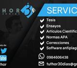 Asesores Tesis, Monografía, Correcciones