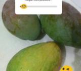 Vendo Mangos
