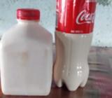 Leche de Sandi