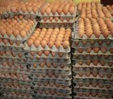 Venta De Huevos Al Por Mayor Y Menor