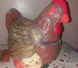 Gallina para Huevos