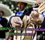 Instrumentos Amplificados Mariachis Clic