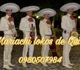 Mariachis Fiestas Promociones Flores
