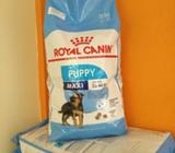 Royal Canin Maxi Jinior 15kg