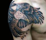 Tatuajes Disponibles. Garantizados