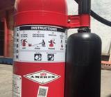 EXTINTOR CO2 AMEREX AMERICANO 10LIBRAS