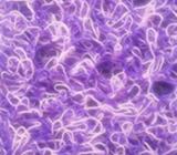 Alfombra atrapamugre tipo caucho $19.99