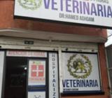 Clinica Veterinaria 24horas Guayllabamba