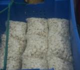 Venta de Mote Al por Mayar Y Menor