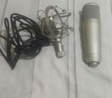 Microfono Profesional