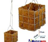 maceta de coco con canasta para orquideas y otras plantas