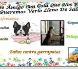 Se Realiza Baños a Domicilio