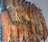 Langostinos de Mar