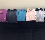 Polo Hollister