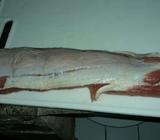 Lomo de Cerdo sin Hueso