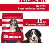 Comida para Perro