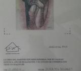 Acuarela de Eduardo Kingman