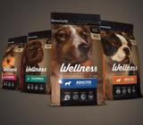 Wellness Alimento Super Premiun Salmon
