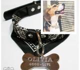 Collar pañuelo para gatos y perritos. Gratis medalla wp0968224313