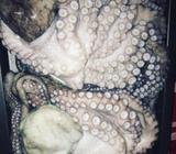 Pulpo Fresco