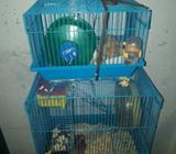 Vendo Hamsters