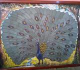 pavo real echo a mano