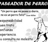 Paseador de Perros Garzota y Entre Ríos