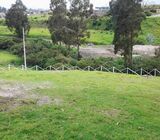 Vendo lote sector alangasi